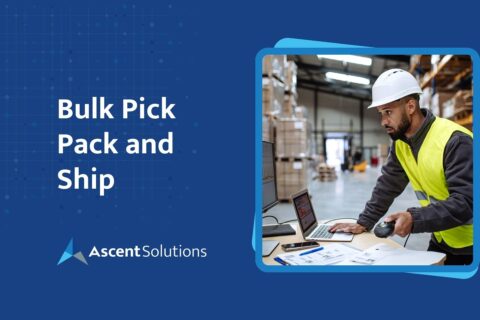 Bulk Pick Pack and Ship - Ascent ERP